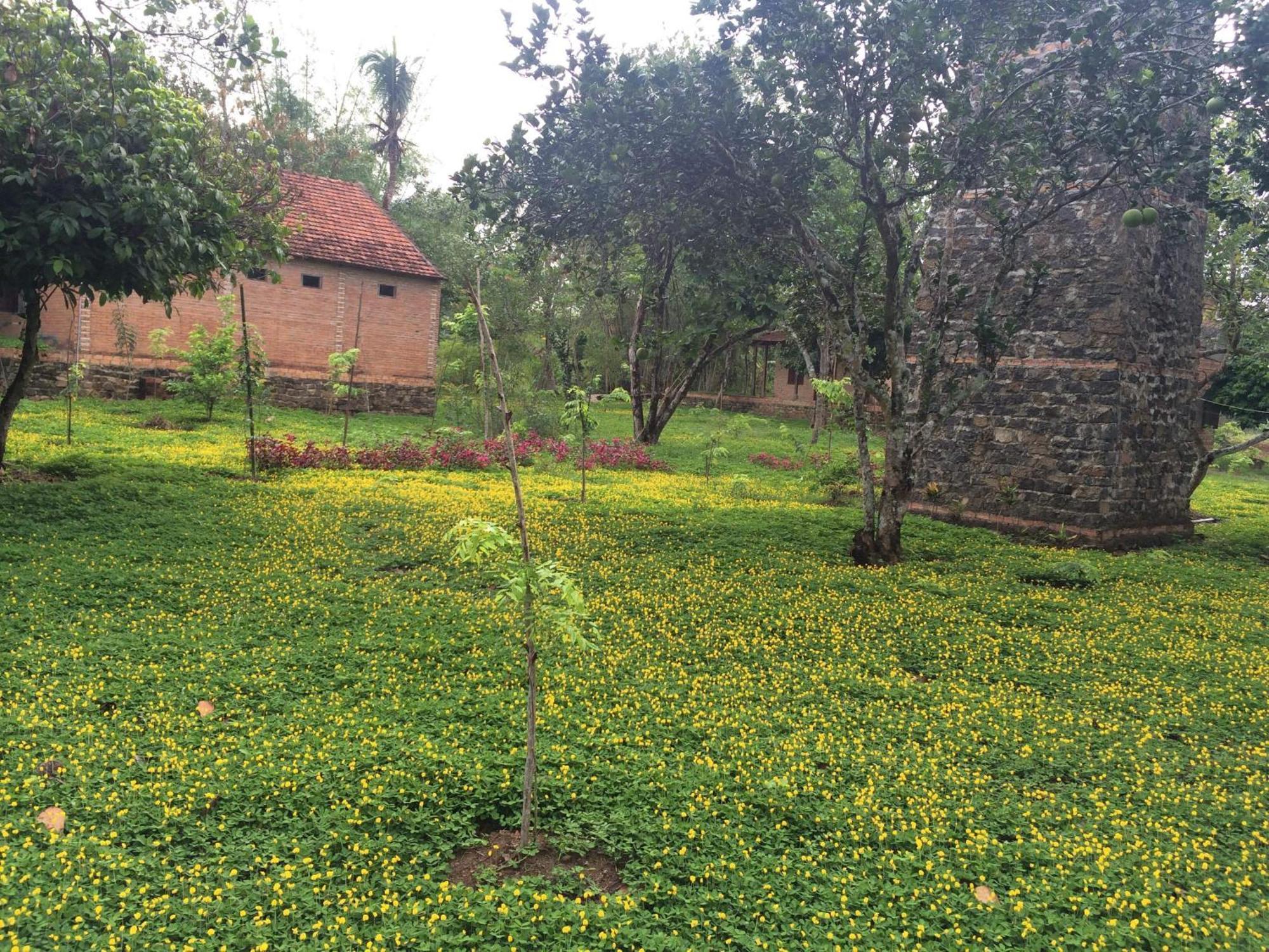 Green Hope Lodge Cát Tiên Værelse billede