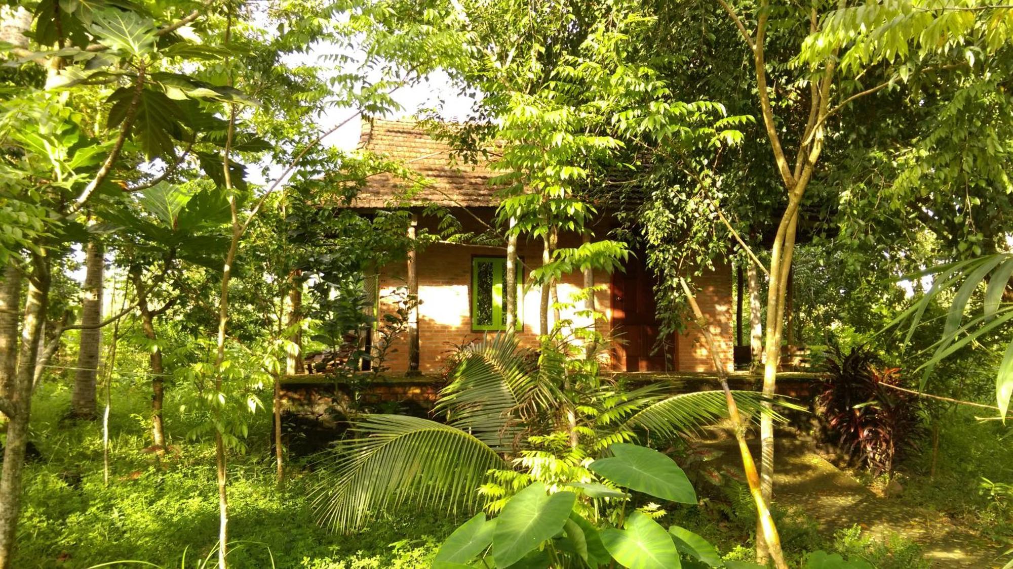 Green Hope Lodge Cát Tiên Eksteriør billede